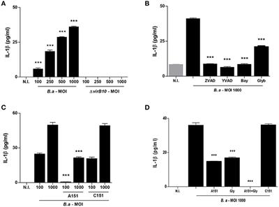 Brucella abortus Infection Elicited Hepatic Stellate Cell-Mediated Fibrosis Through Inflammasome-Dependent IL-1β Production